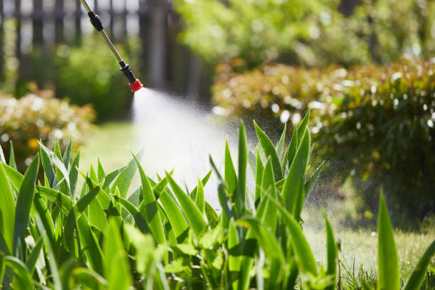 24/7 Emergency Mosquito Control experts in Beavercreek, OH